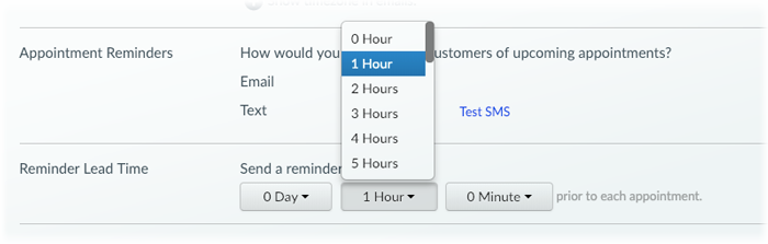 The Reminder Lead Time menu in Setmore.