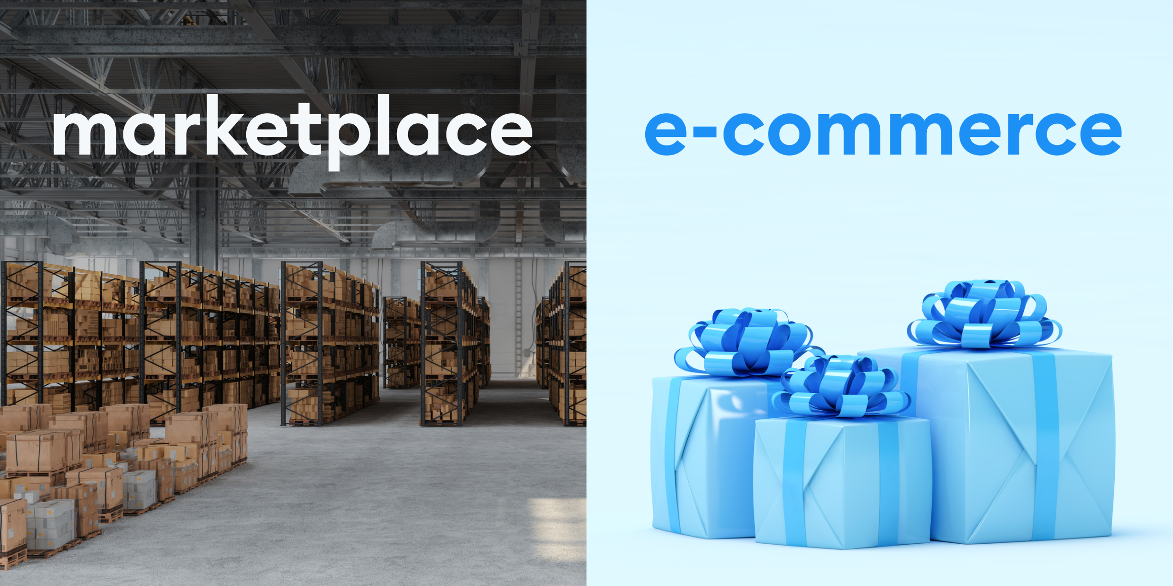 E-Commerce vs Marketplace: Your Online Store