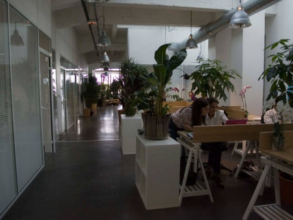 BT coworking, un mélange très varié de jeunes pousses