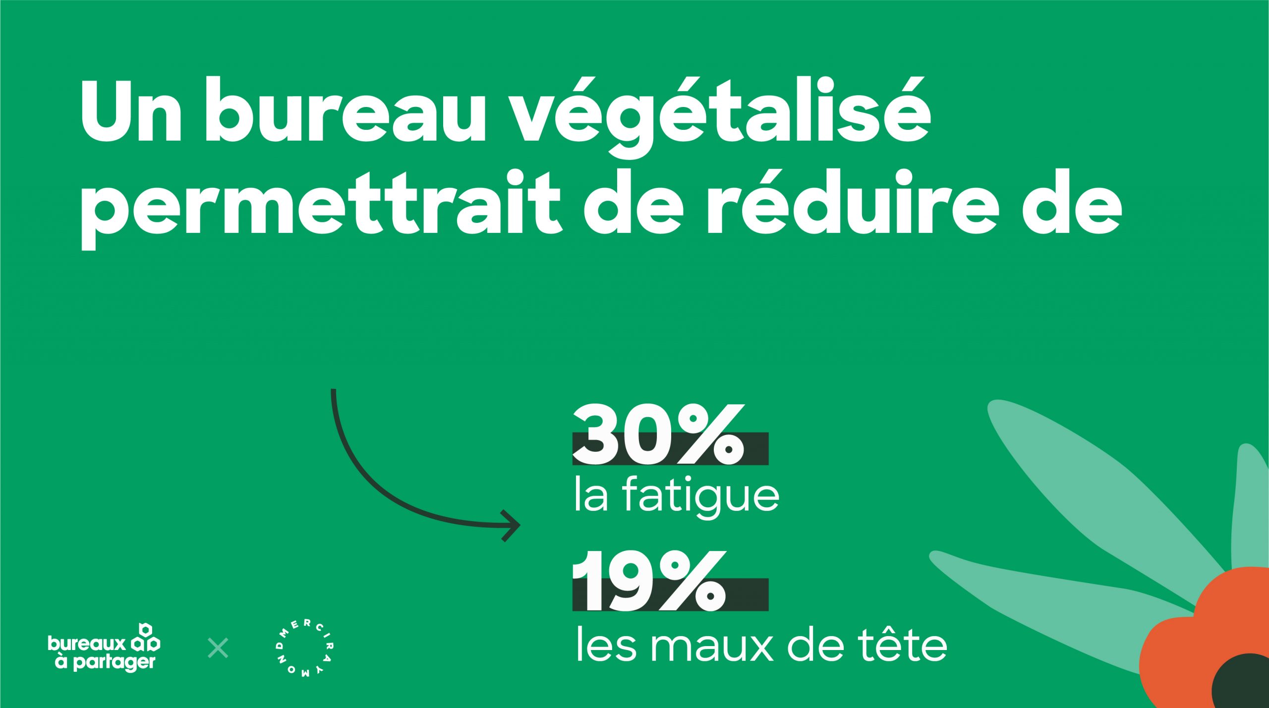 vegetalisation de bureau