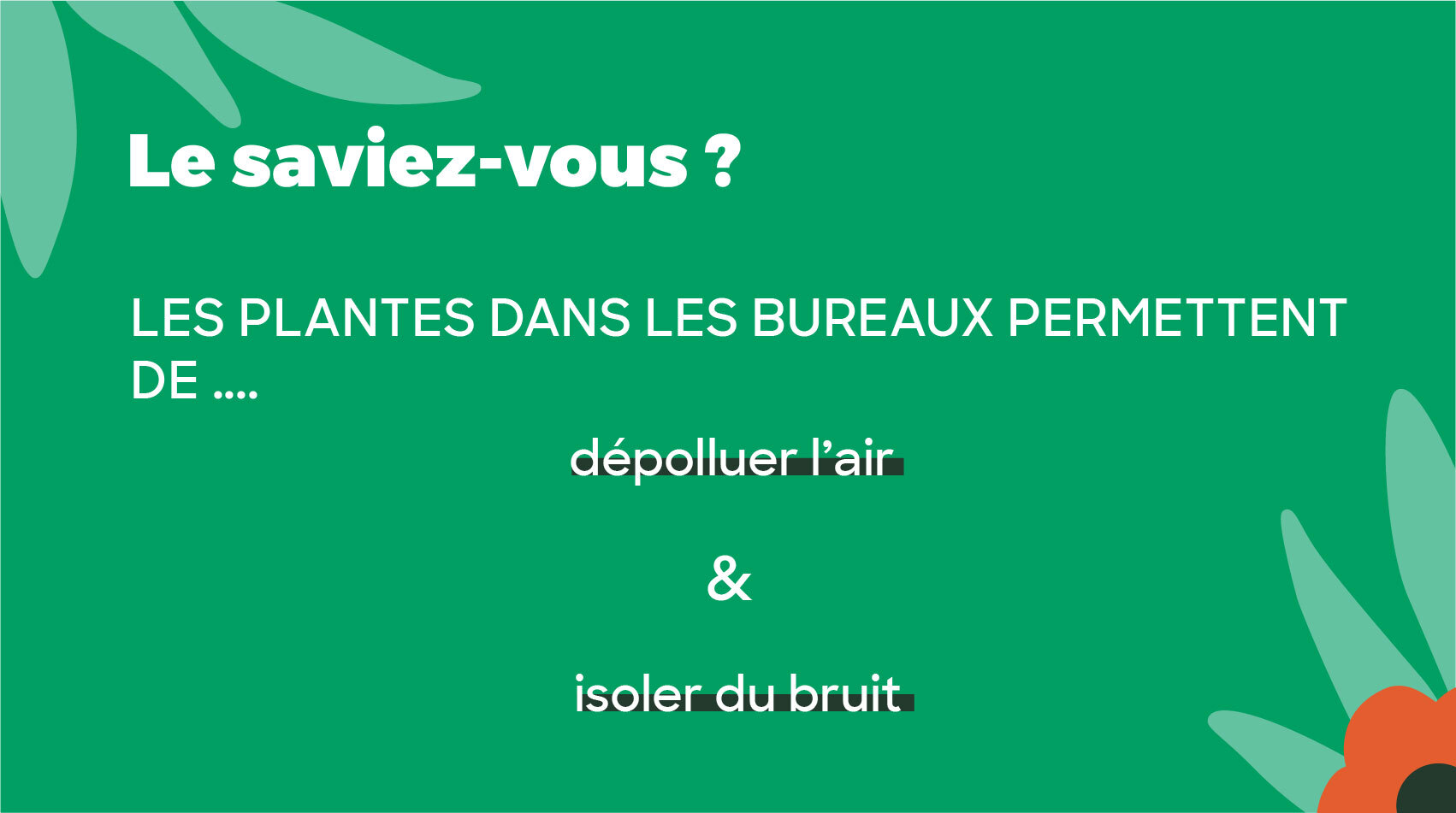 les plantes servent dans les bureaux servent à dépolluer l'air et à isoler du bruit