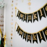 Twinkle Twinkle Little Star Party - Project Nursery