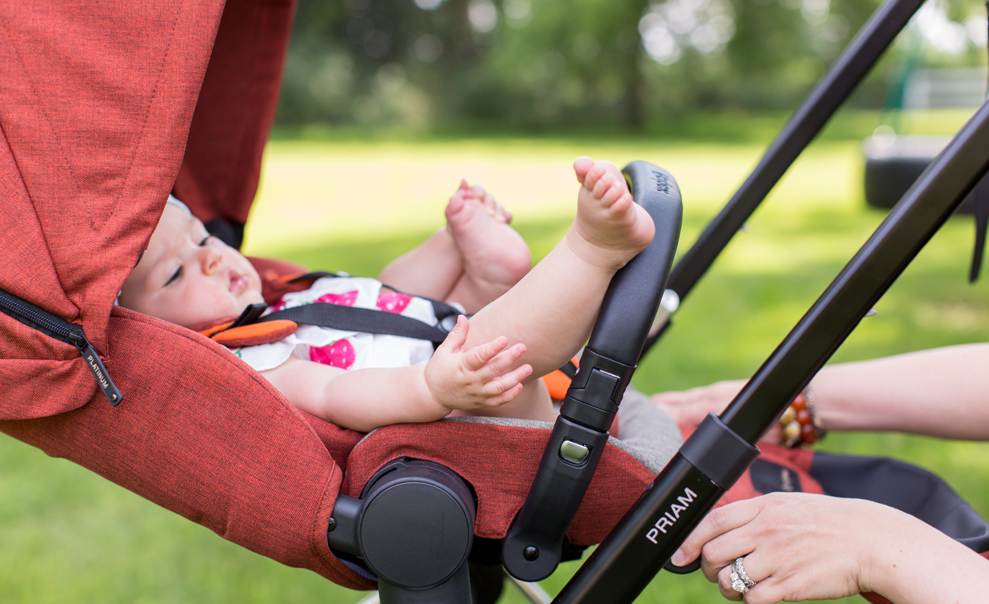 Cybex Priam Stroller - Project Nursery