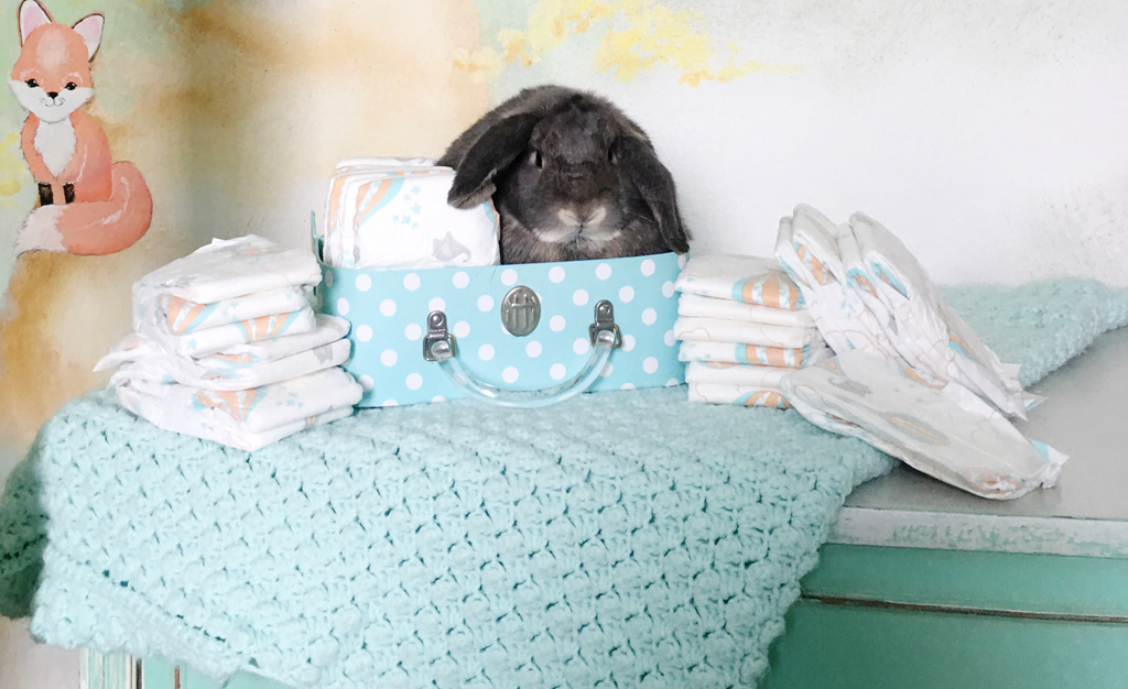 Pastel Nursery with Whimsical Woodland Mural