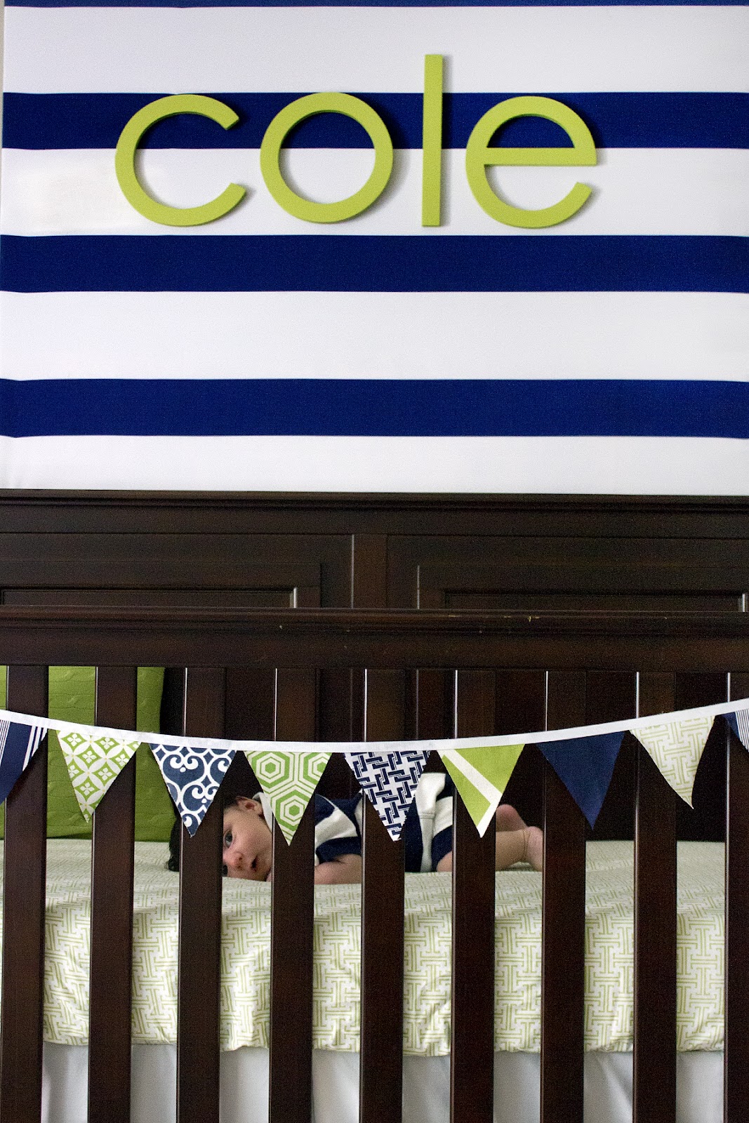 Navy and Green Nursery
