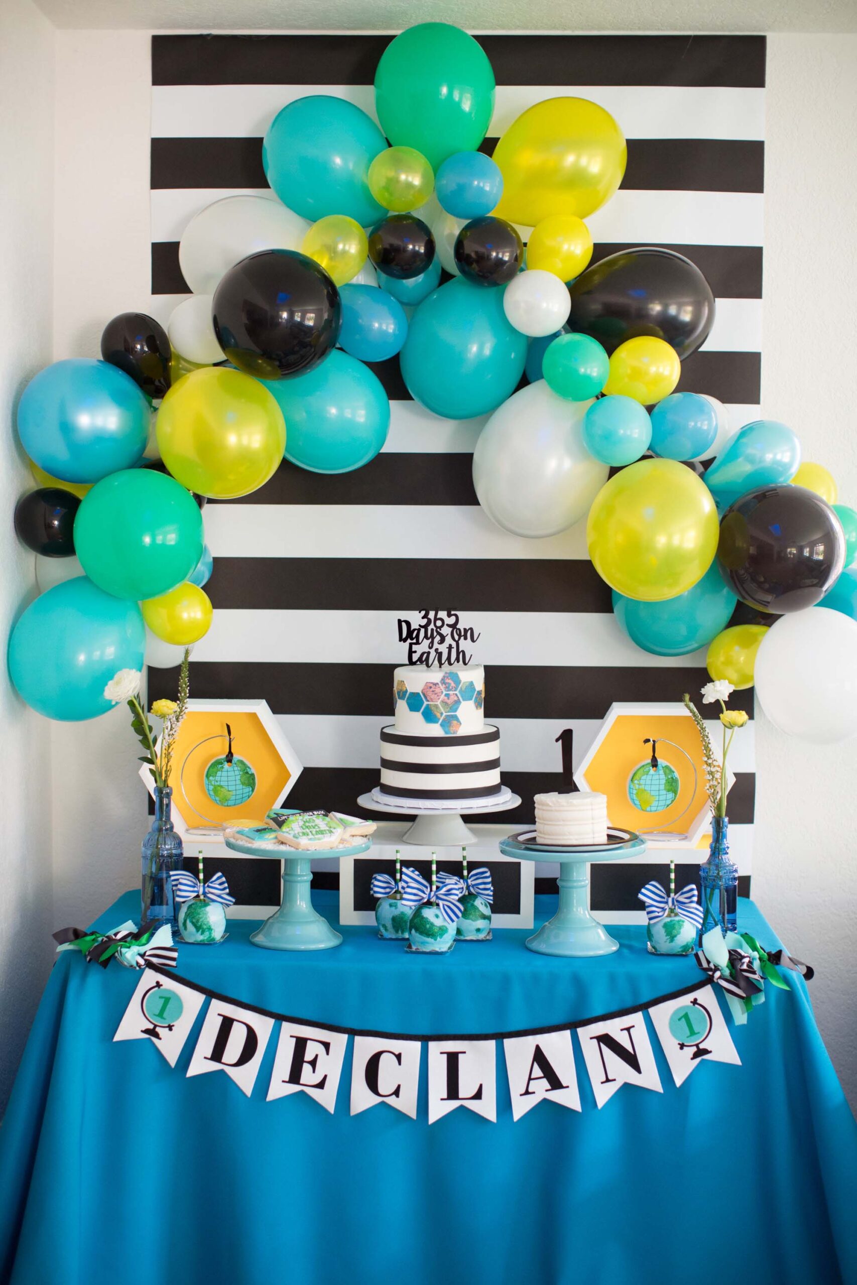 365 Days on Earth Birthday Party