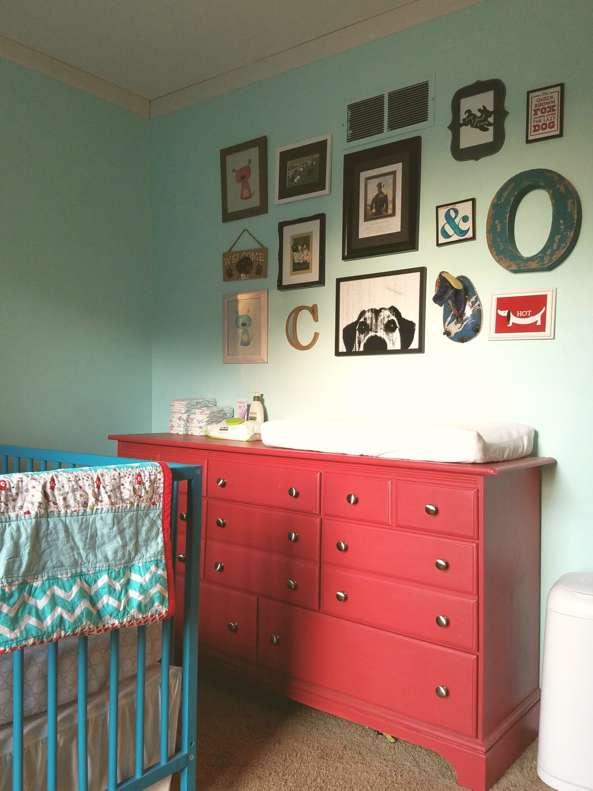 Teal and Red Puppy Nursery