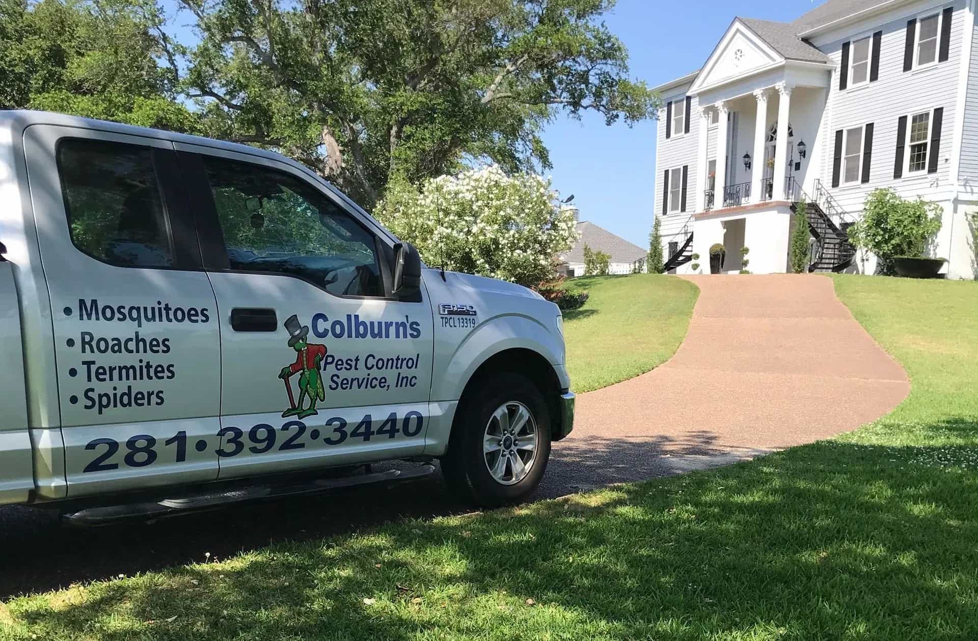 Squirrel Control Services in Houston, TX: Protect Your Home