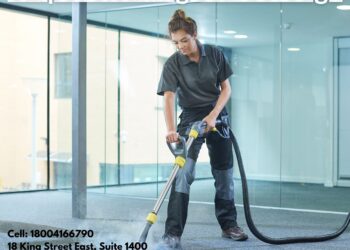 How Professional Carpet Cleaning Complements Home Aesthetic Design