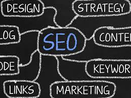 How SEO in New Zealand is Transforming Digital Business