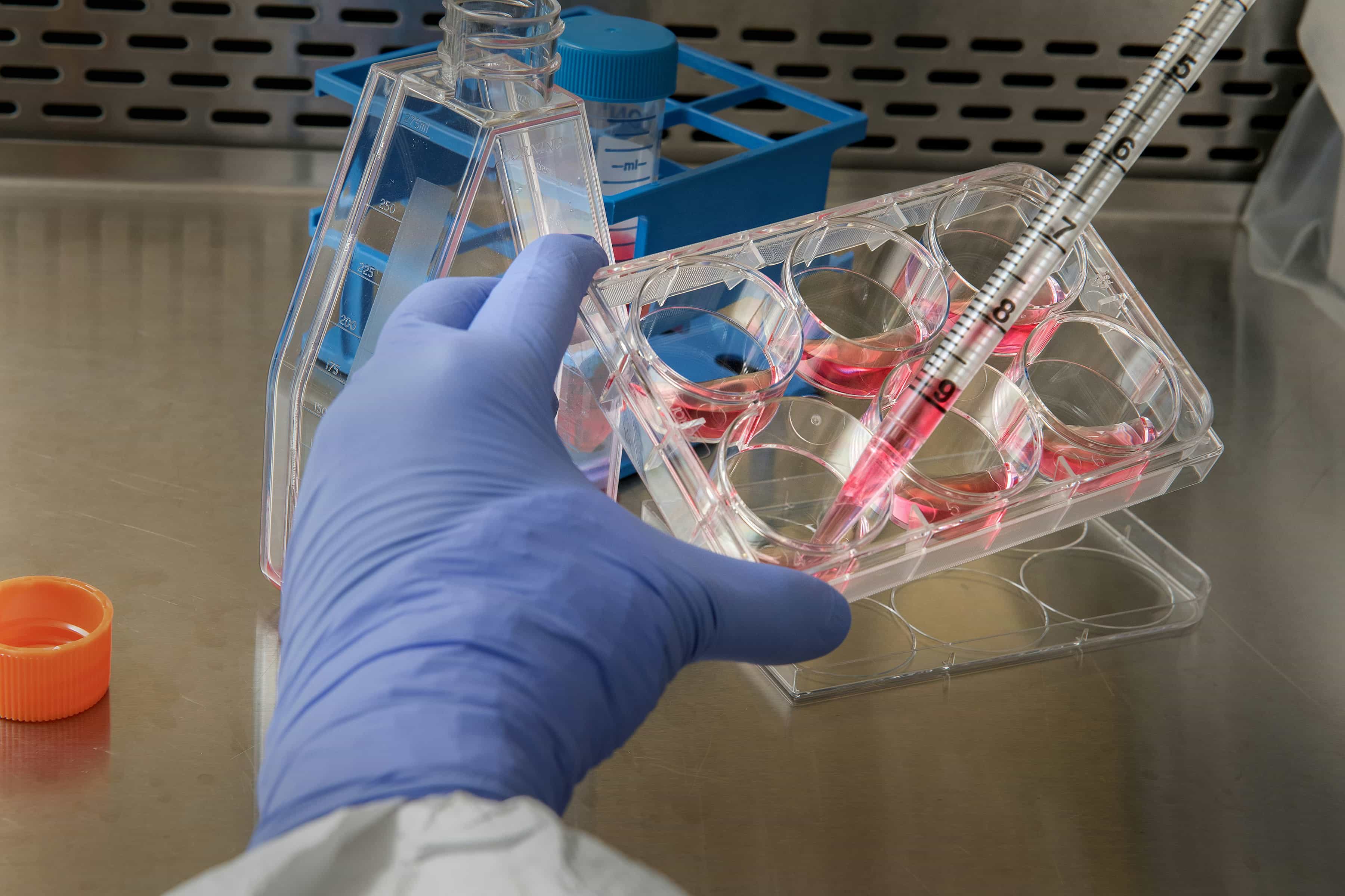 Accelerating Targeted Protein Degradation Research