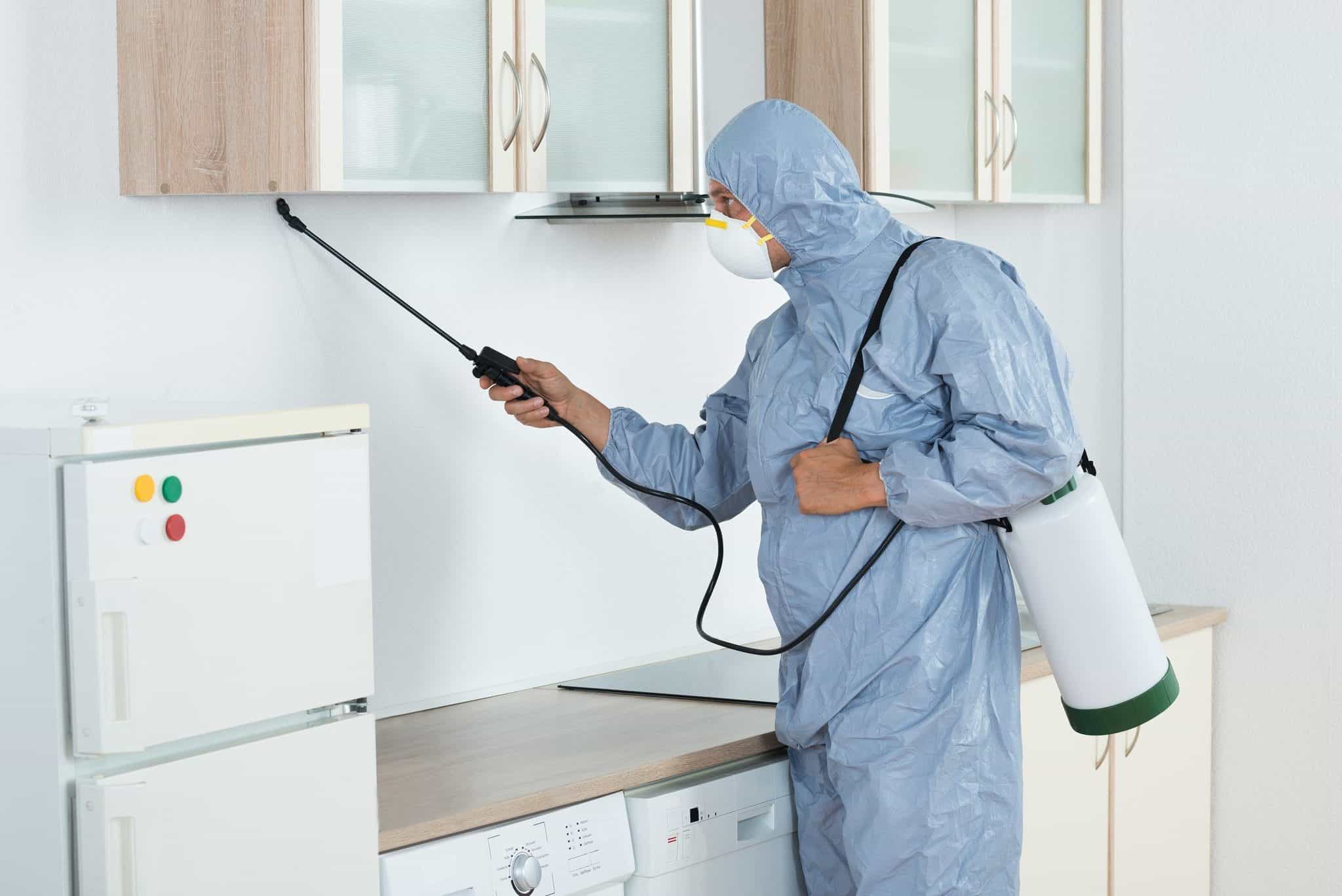 Termite Control Products Professionals Actually Recommend