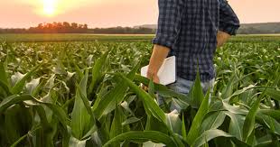Complete Guide to Soil Testing Services and Fertilizer