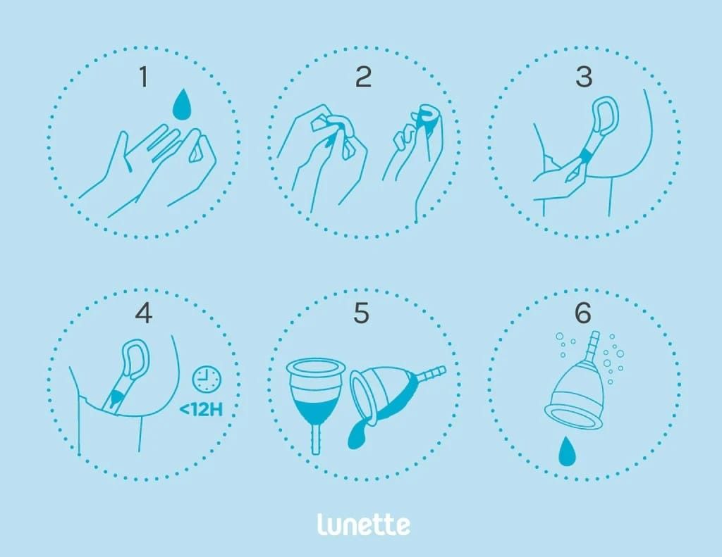 Best Menstrual Cups for Comfort, Protection, and Reusability