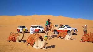 Desert Safari  Dubai – Morning, Evening & Overnight Options