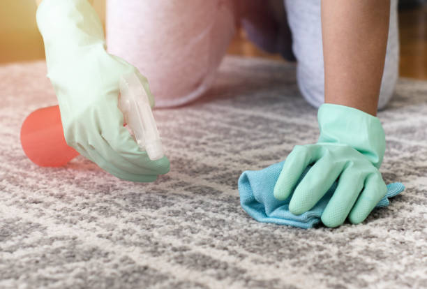 How to Clean and Care for Your Wool Rugs in Brooklyn?