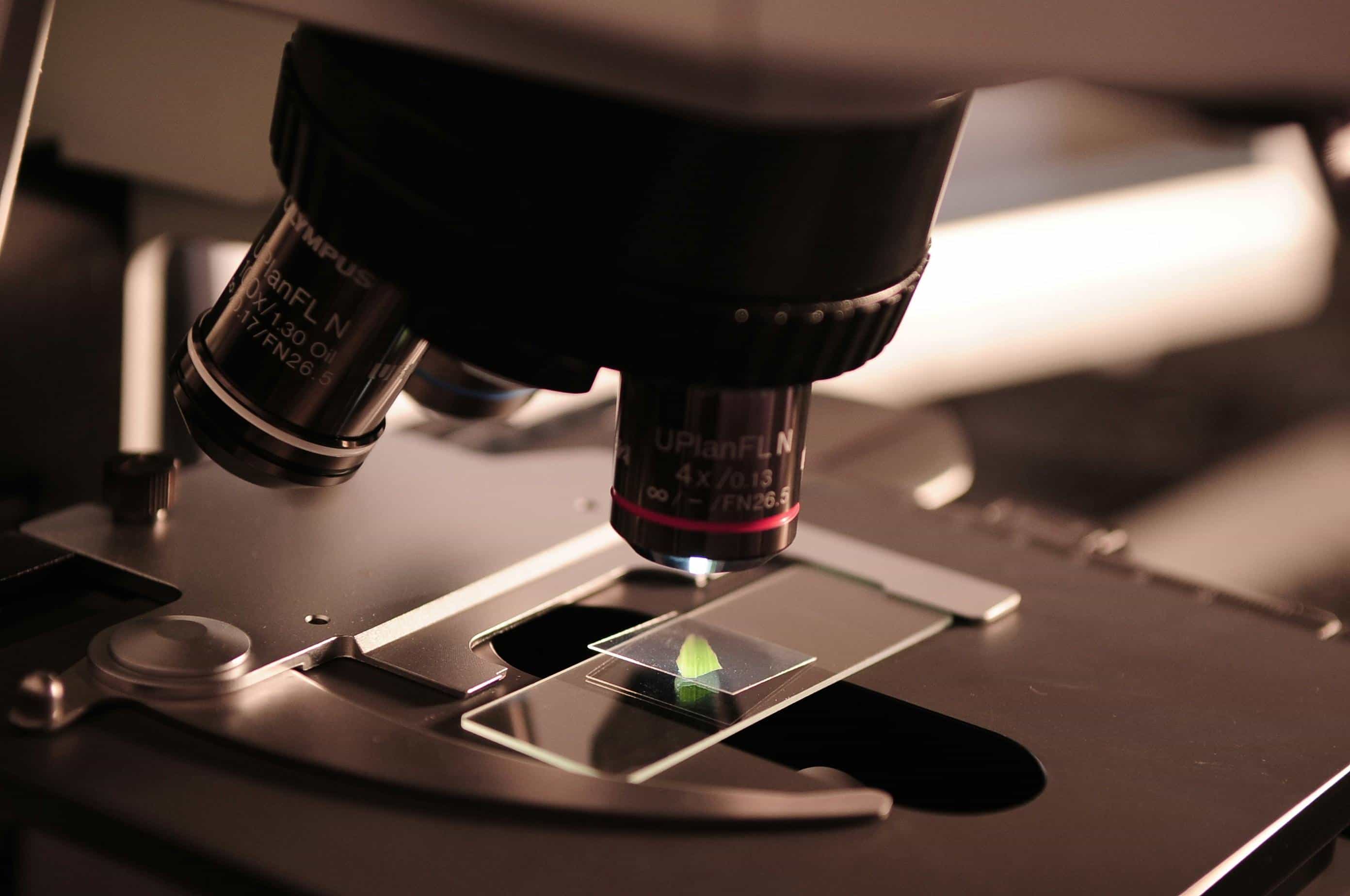 Accelerating Microbial Innovation with MicrobioSci