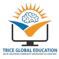 Trice Global Education’s SEO & SMO Solutions