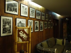 ヤモリも有名らしい。