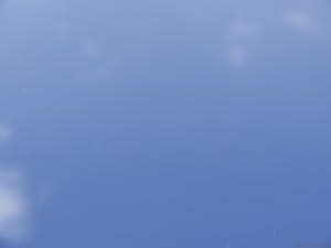 雨が降った直後は快晴。