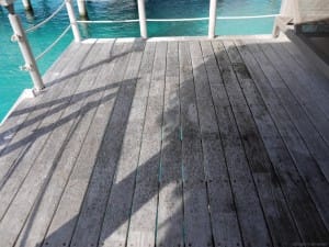 あっとゆーまに乾いた。