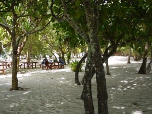 モツタプの中はこんな感じ。