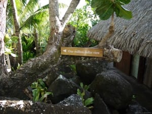 100万ドルの景色!この先に施術ベッドが用意されてる。