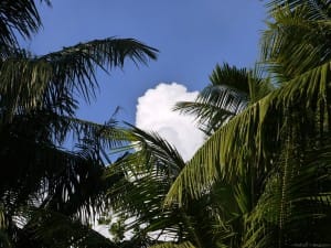 青空と雲。空青すぎ。