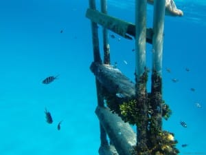 腕だけ海中に入れて撮影。