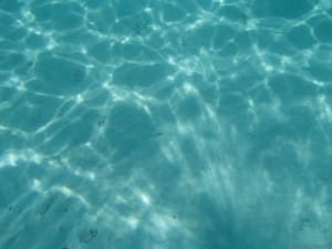 ただ単に光が射してるだけなんだけど、きらめきがとても綺麗。