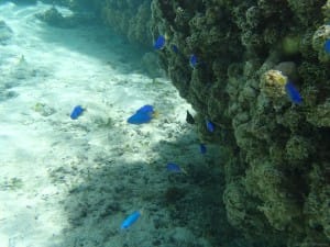 近くにいても逃げたりはしない。