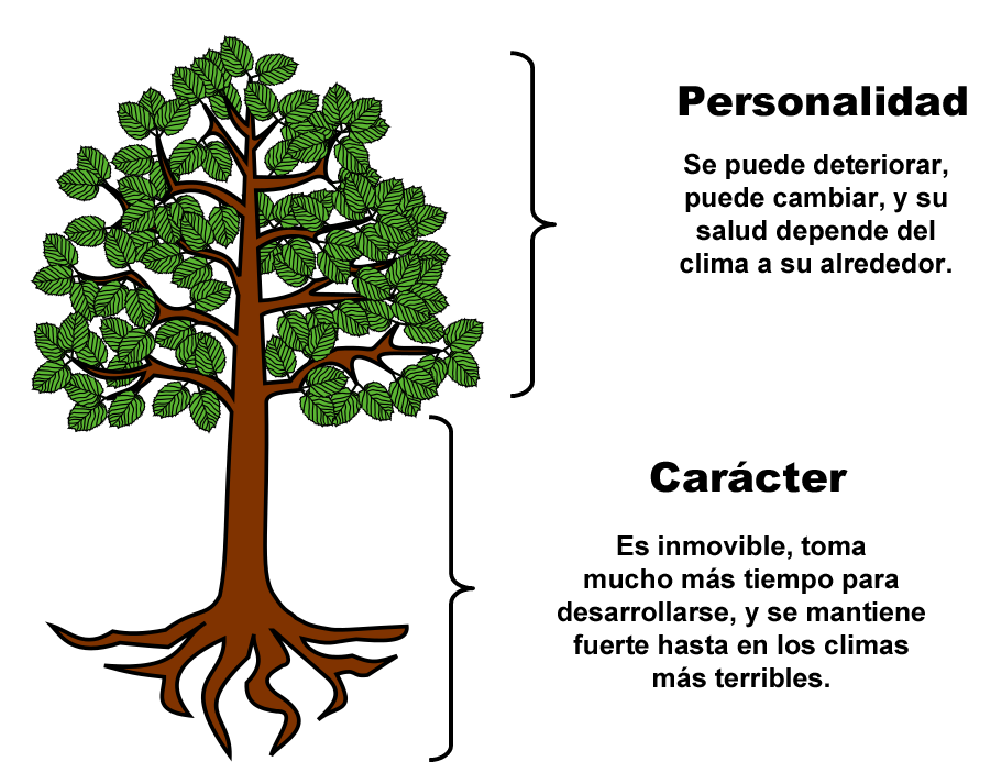 diferencia entre caracter personalidad arbol tronco raiz raices hojas