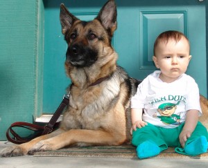 Silvia's dog Wolfi