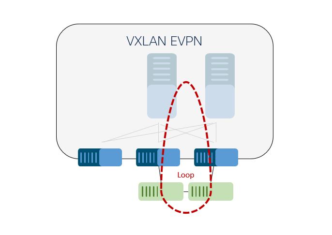 Loop-free VXLAN overlays may be connected to an Ethernet segment that can result in network loops, requiring detection and mediation in conjunction with the overlay.