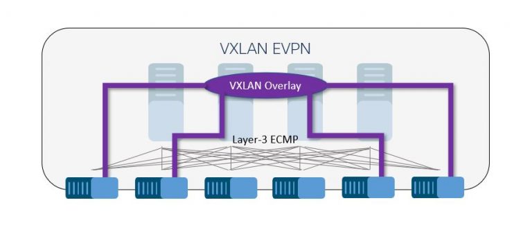 A loop-free VXLAN overlay network.