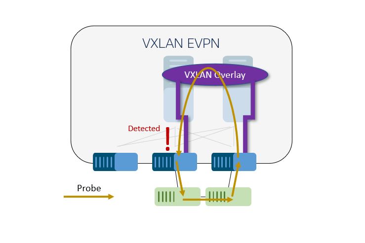 A probe uncovers a loop in a southbound Ethernet network.