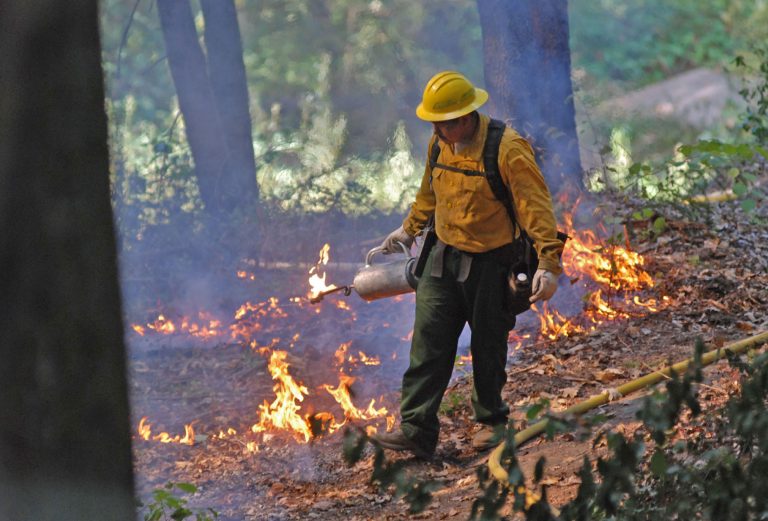 A managed prescribed burn.