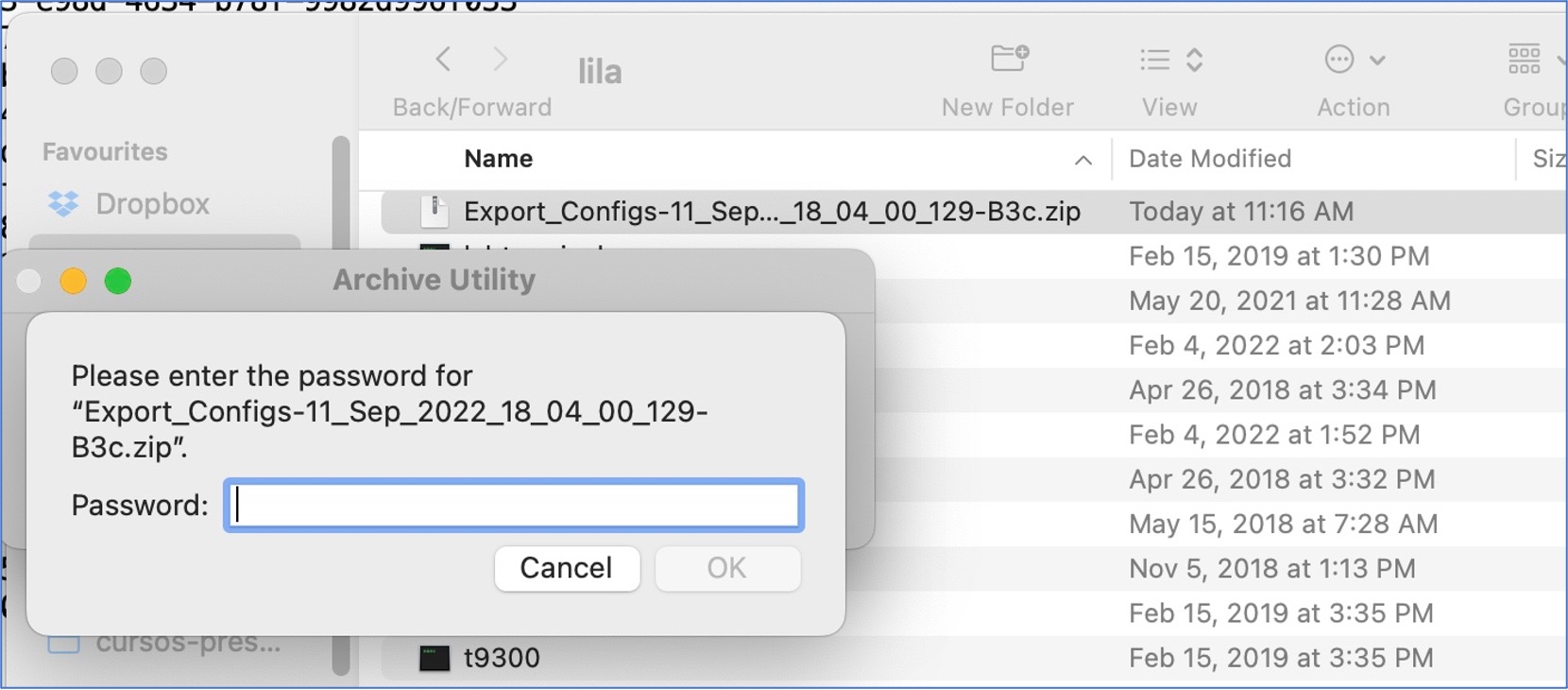 Password-protected zip file