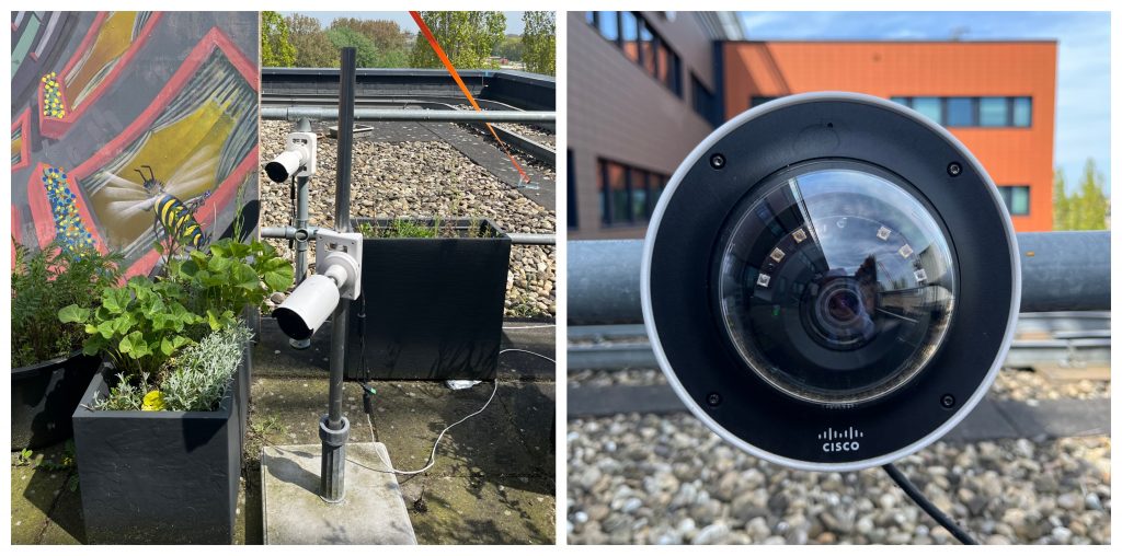 Cameras watching beehives