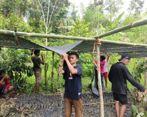 Ritma Green conducts training and supports small-holder farmers in Indonesia on climate-smart agriculture practice.