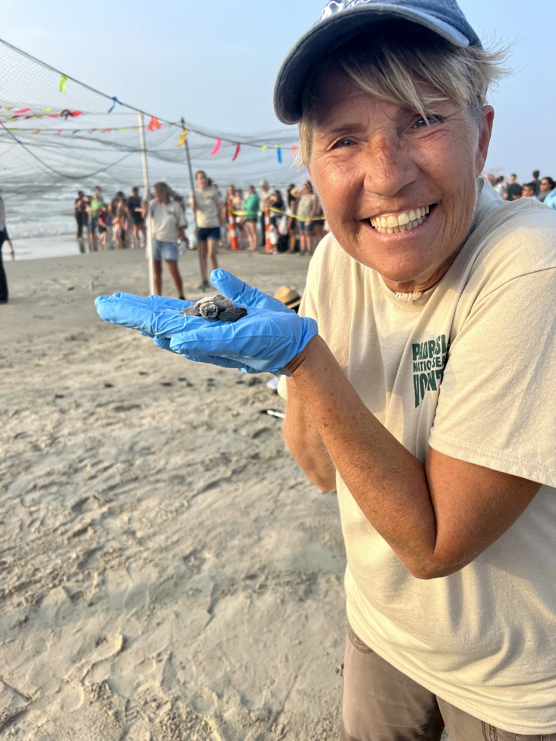 Blond woman wearing blue baseball cap, tan shirt and shorts and blue latex gloves standing on beach holding baby sea turtle.