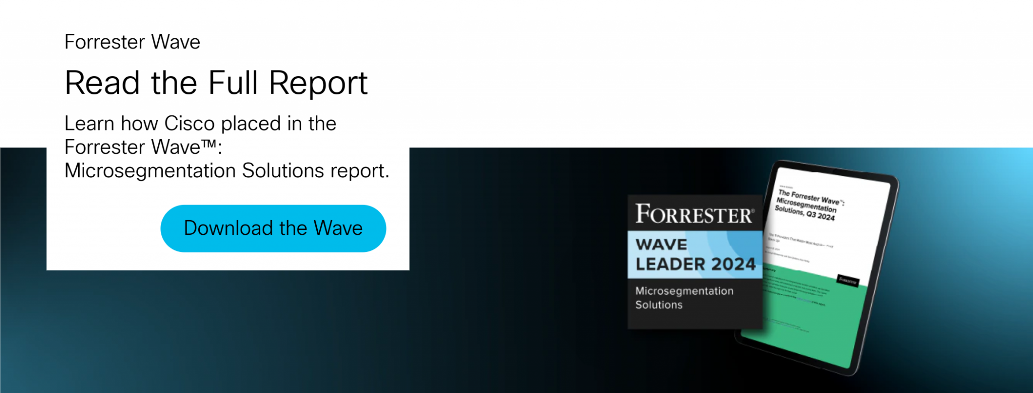 FY25 Q1 forrester microsegmentation wave blog banner ad