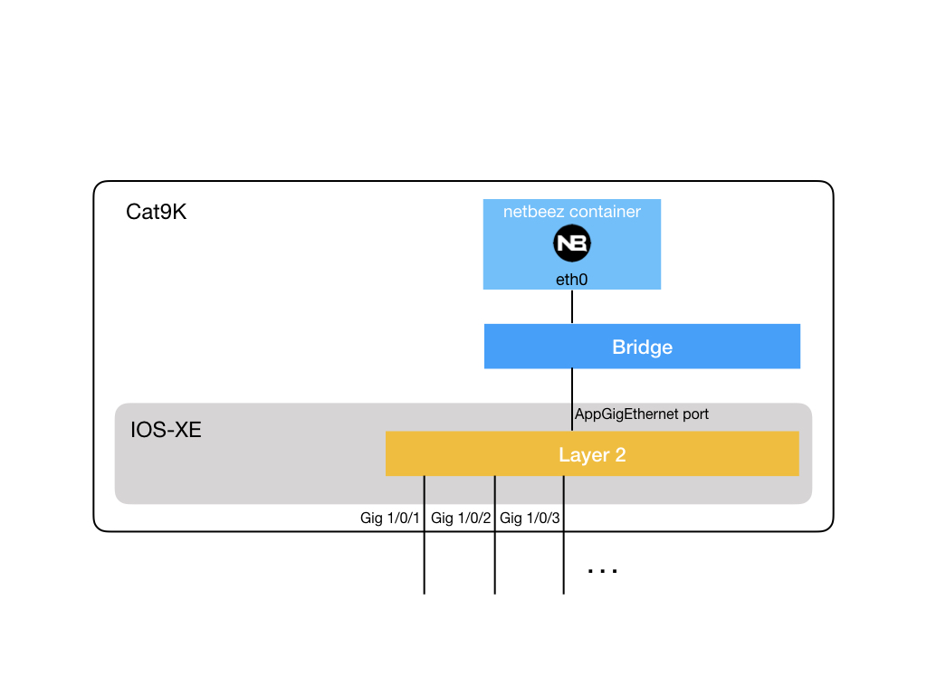 NetBeez diagram