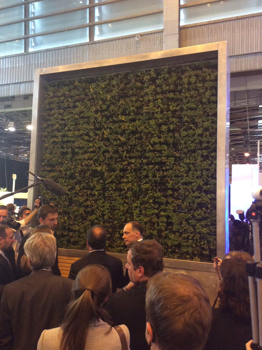 city tree_hall of tech_hollande