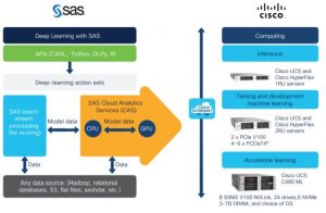 Cisco and SAS platform architecture