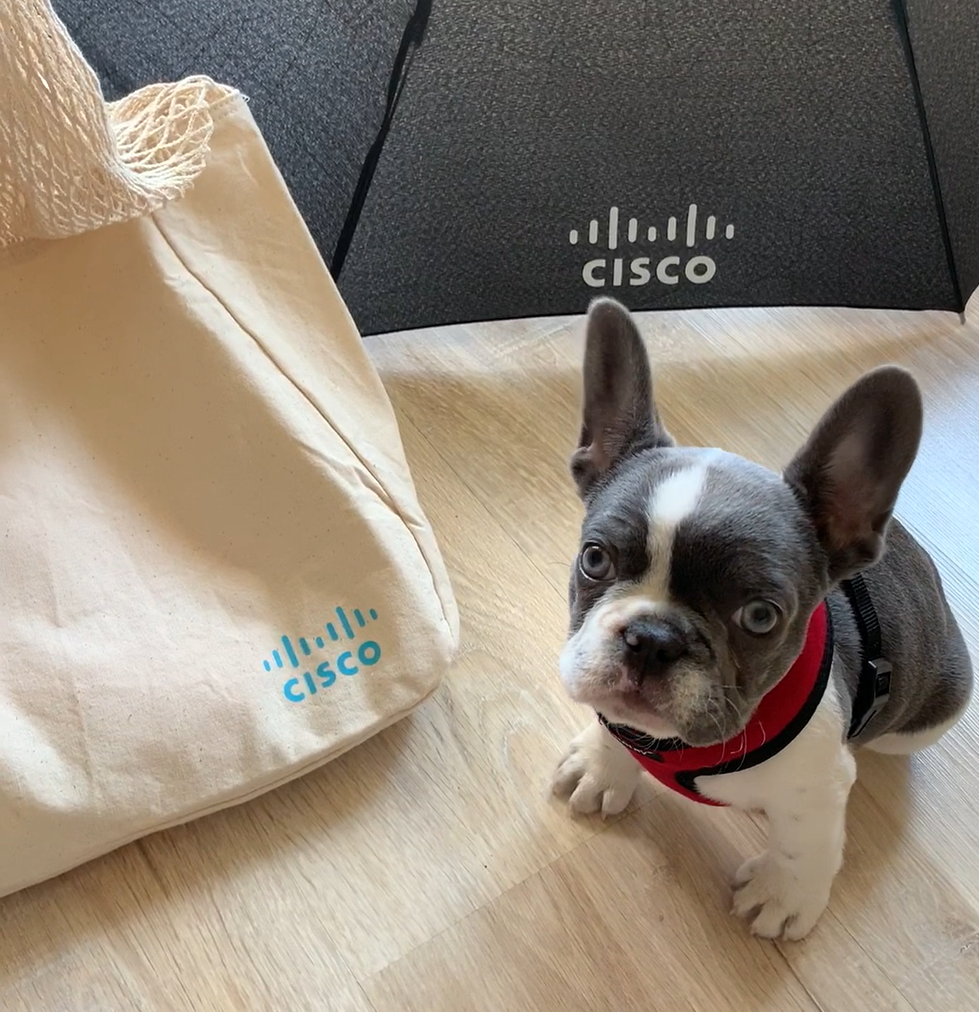 Raise the ‘Woof’ for Cisco Pups