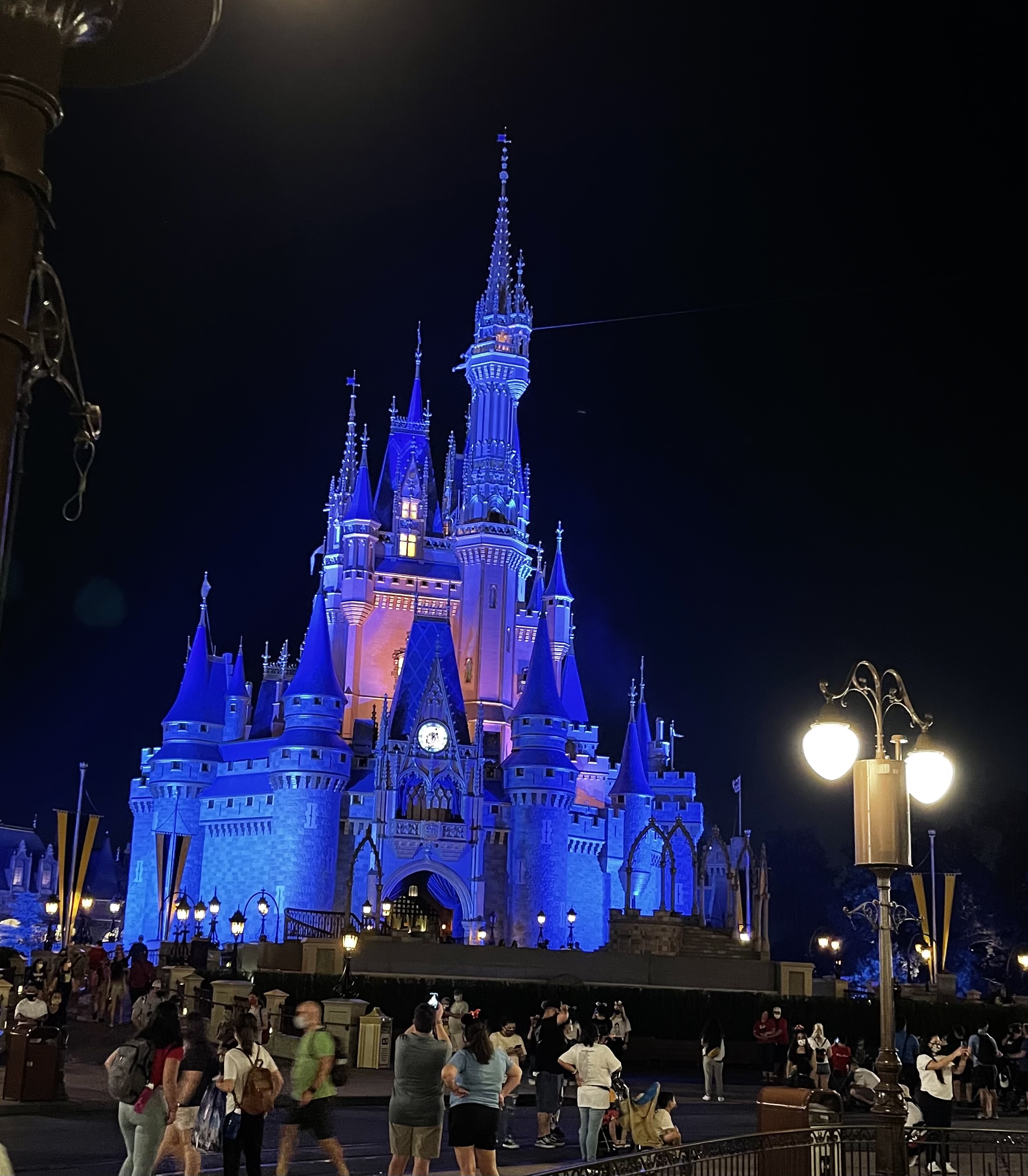 Disney Castle at night