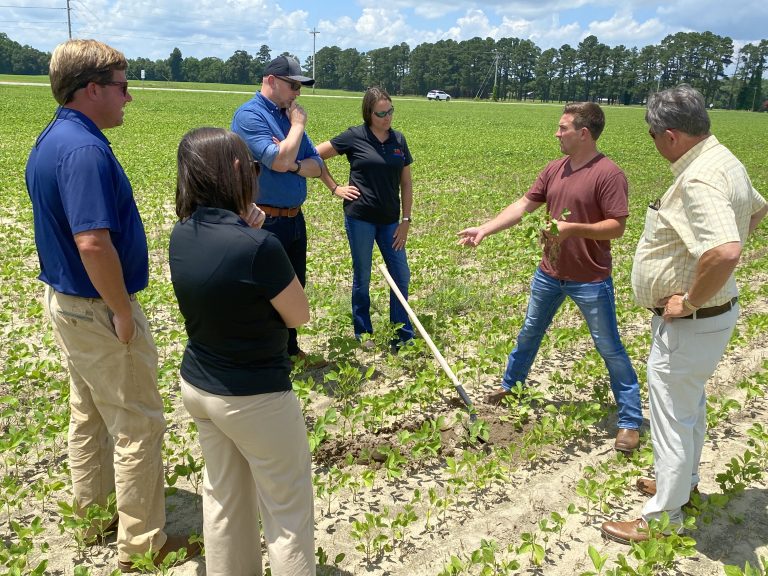 A group of farmers standing in a field with the CEO of Continuum Ag