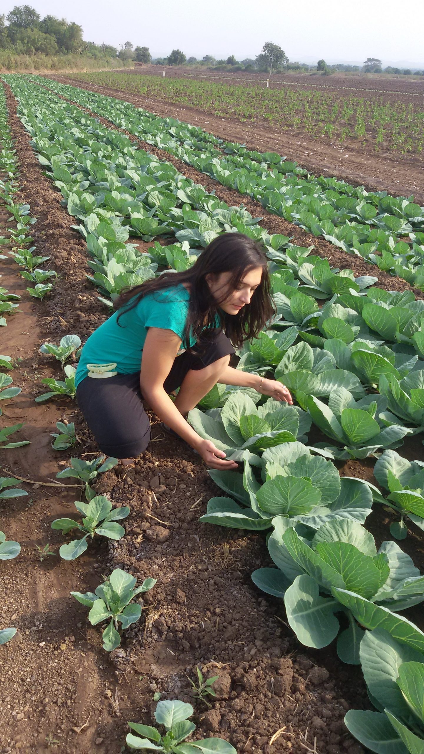 From Small Town Farm to Cisco Engineer