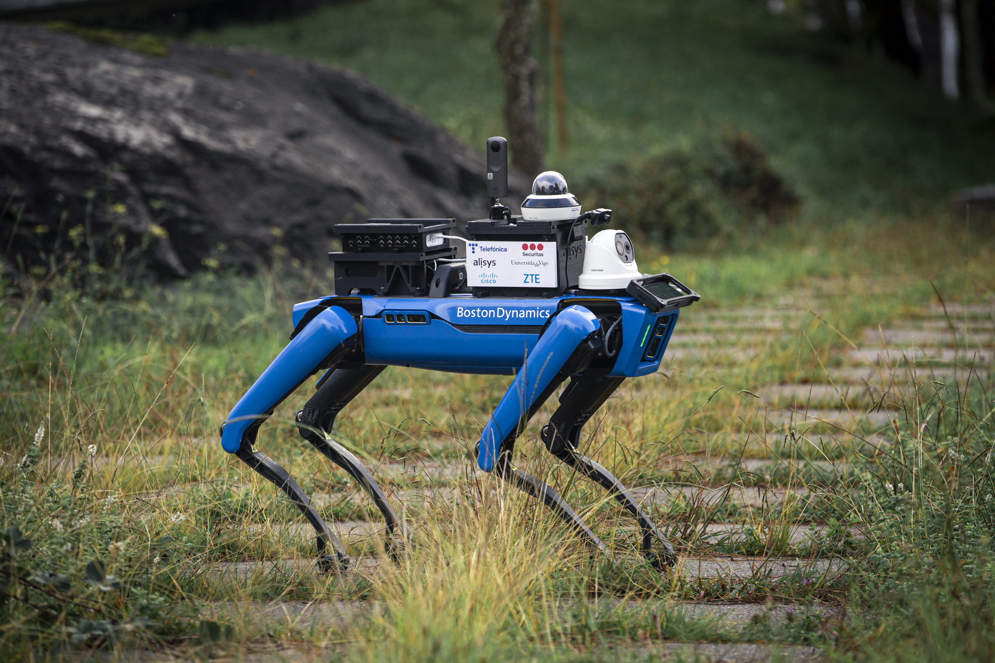 Video: 'Spot', un robot perro con tecnología 5G, vigilará campus